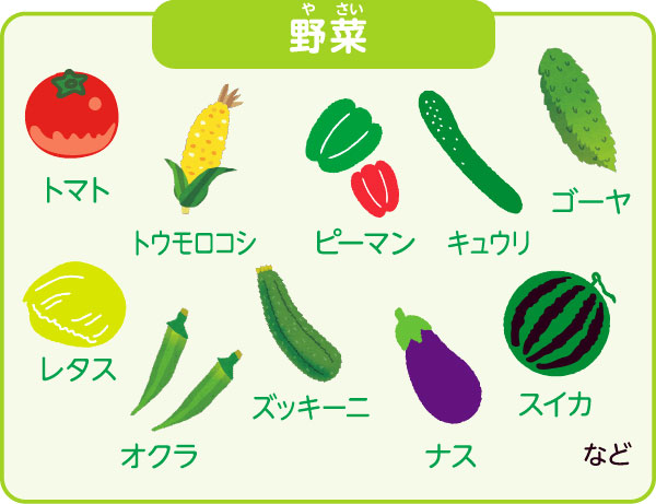 夏野菜