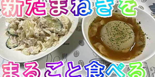 2023.06.16_kinuura_blog_0