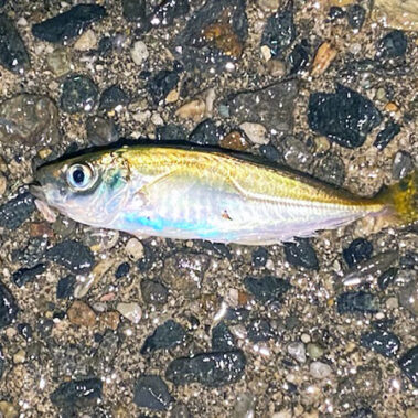 2023.06.26_ekimae_blog_5