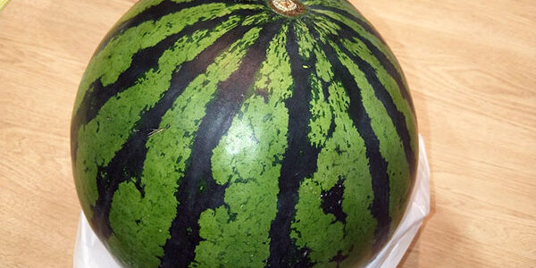 2023.06.28_ano_blog_2