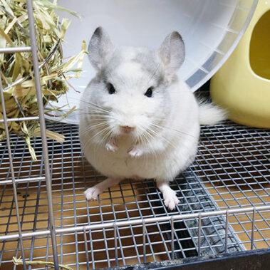 2023.07.04_daito_blog_11