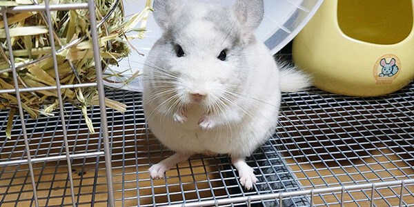 2023.07.04_daito_blog_11