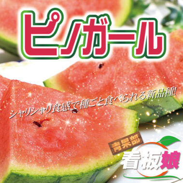 2023.07.17_honbu_blog_0