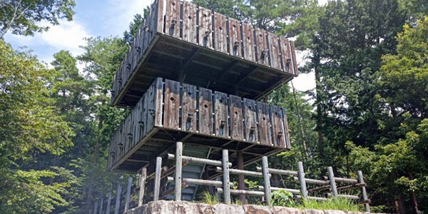 2023.08.04_daito_blog_3