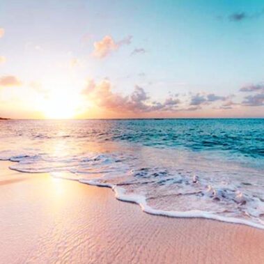 2023.08.14_ano_blog_02