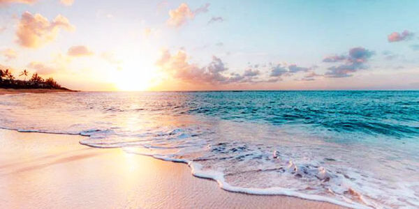 2023.08.14_ano_blog_02