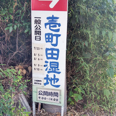 2023.08.22_rinku_blog_1