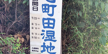 2023.08.22_rinku_blog_1