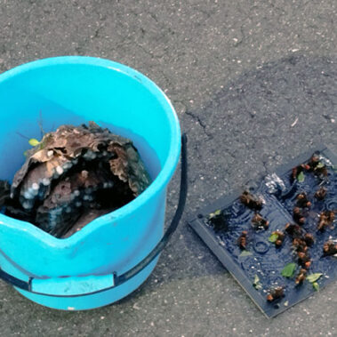 2023.10.13_kyowa_blog_11