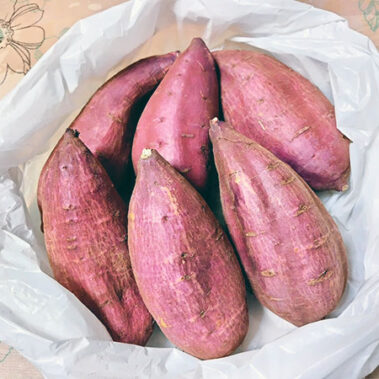 2023.10.18_daito_blog_1