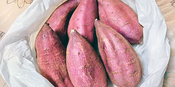 2023.10.18_daito_blog_1