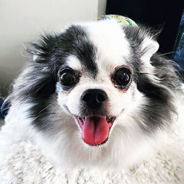 2023.11.04_daito_blog_0