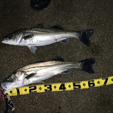 2023.11.12_ekimae_blog_6