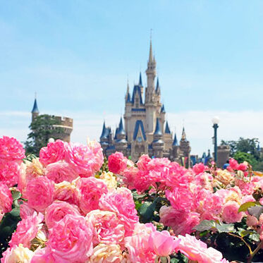 2023.11.16_kinuura_blog_0