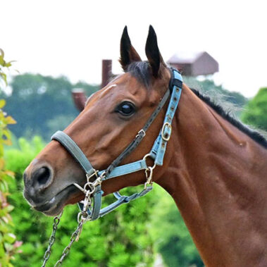 2023.12.20_shinden_blog_8