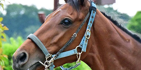 2023.12.20_shinden_blog_8