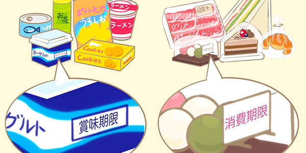 2023.12.27_kyowa_blog_2