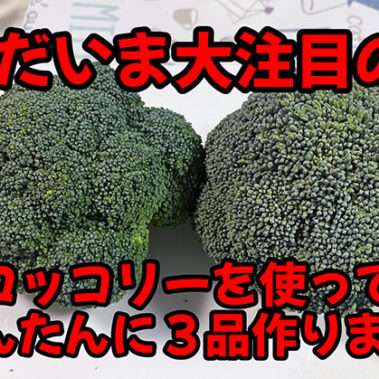 2024.04.02_kinuura_blog_0