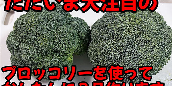 2024.04.02_kinuura_blog_0