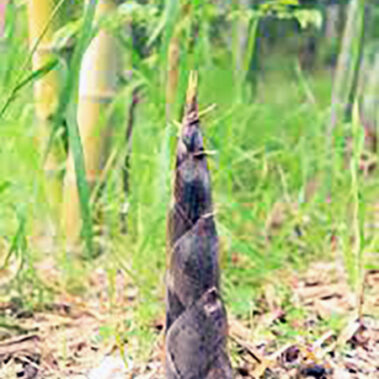 2024.04.09_kuchida_blog_5