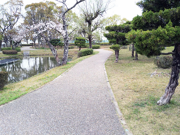 2000本もの桜が咲く みよし市三好町の『三好公園』『三好池』