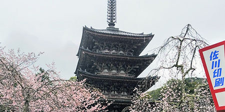 2024.05.04_daito_blog_13