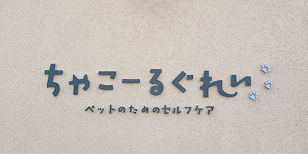 2024.05.09_sanpo_9