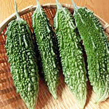 2024.06.09_kuchida_blog_2