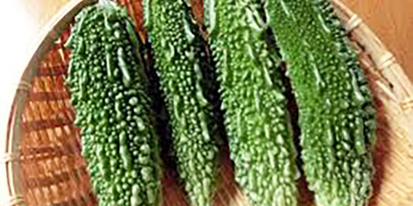 2024.06.09_kuchida_blog_2