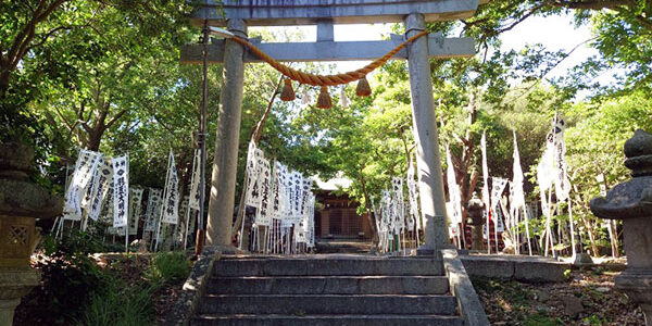 2024.06.13_sanpo_11