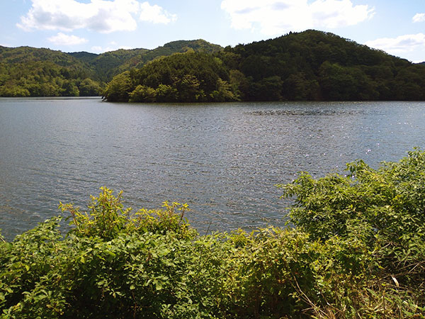 自然の中にある巨大な建造物に圧倒される！！ 豊田市羽布町にある『羽布ダム』