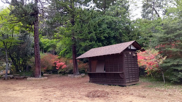 イッチーとハイキング～埼玉県天覧山～