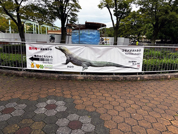 あのイケメンゴリラ「シャバーニ」で有名な東山動植物園に新しいアイドルが来た！現代の恐竜コモドドラゴン（正式名：コモドオオトカゲ）