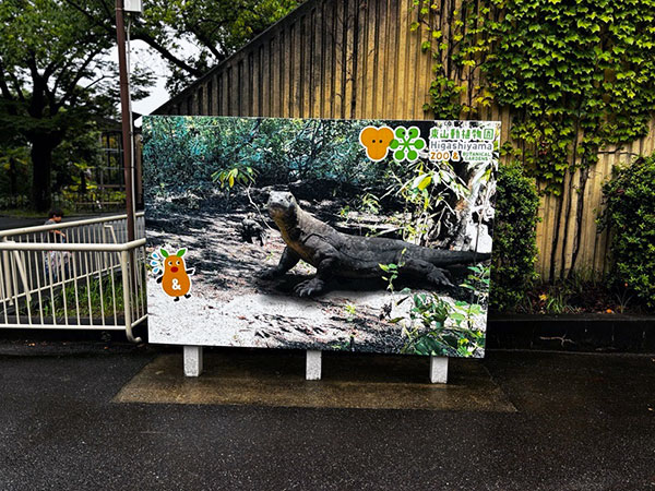 あのイケメンゴリラ「シャバーニ」で有名な東山動植物園に新しいアイドルが来た！現代の恐竜コモドドラゴン（正式名：コモドオオトカゲ）