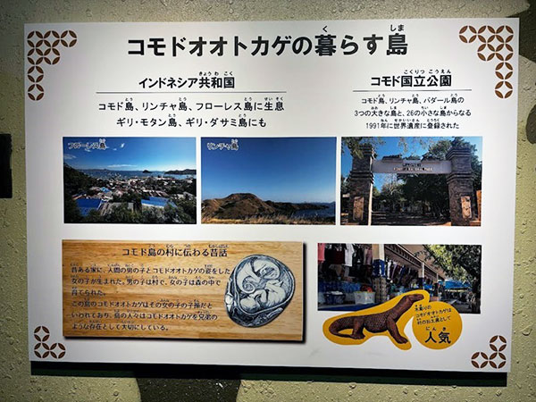 あのイケメンゴリラ「シャバーニ」で有名な東山動植物園に新しいアイドルが来た！現代の恐竜コモドドラゴン（正式名：コモドオオトカゲ）