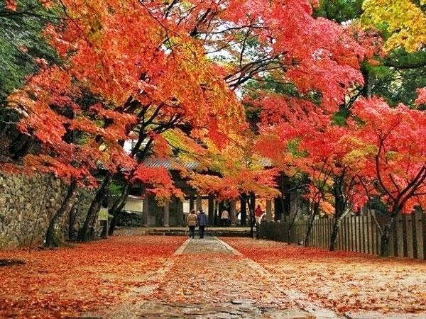 永源寺