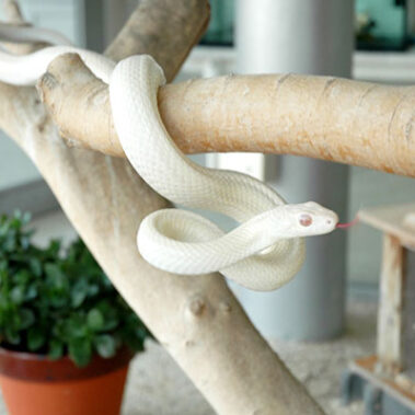 2025.01.18_morioka_blog_7