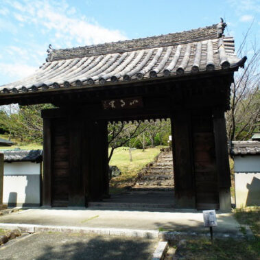 2025.02.06_daito_blog_5