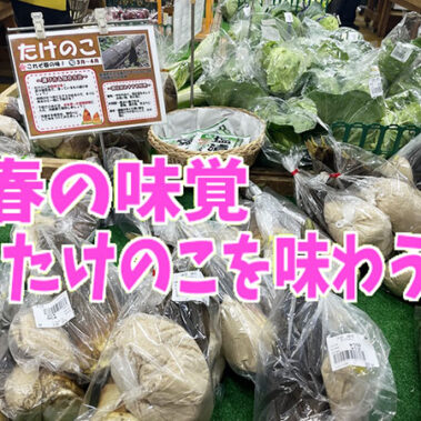 2025.05.02_kinuura_blog_0