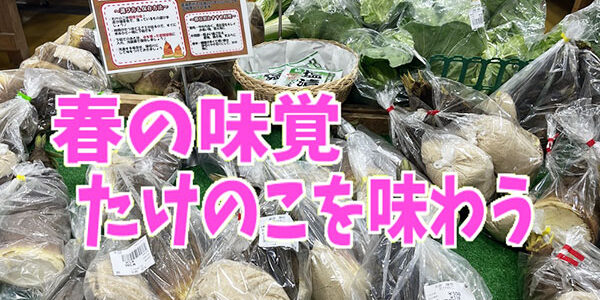 2025.05.02_kinuura_blog_0