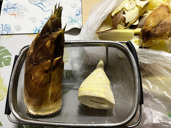 春の味覚の王者 栄養豊富な食材「たけのこ」を味わう