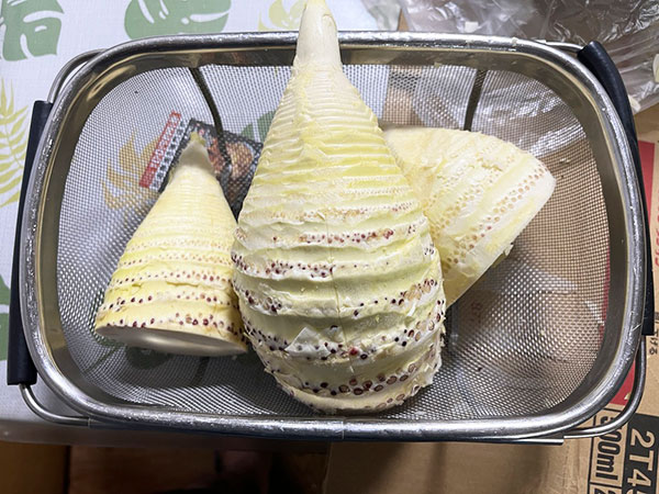春の味覚の王者 栄養豊富な食材「たけのこ」を味わう