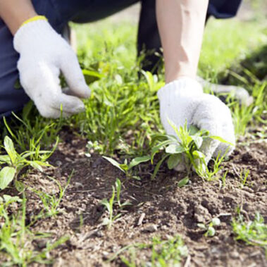 2025.06.10_shinden_blog_8