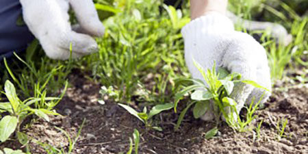 2025.06.10_shinden_blog_8