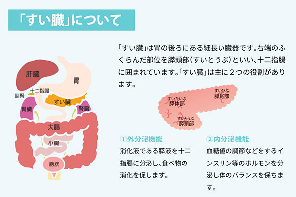 水嚢胞画像