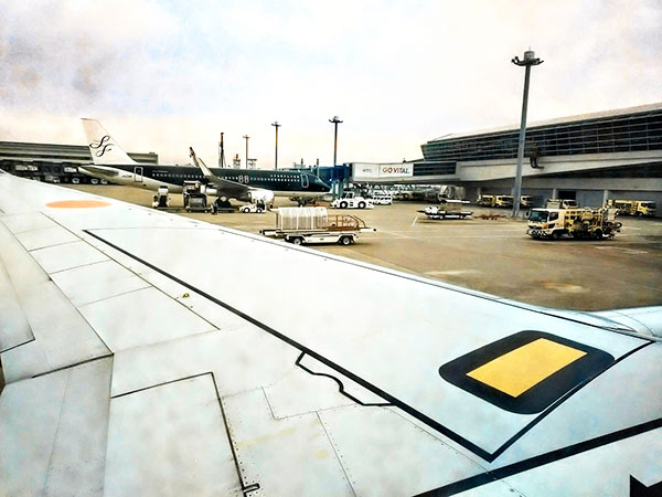 飛行機