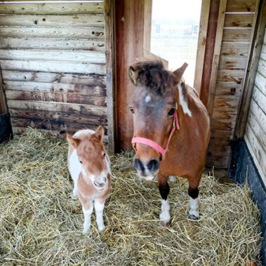 2025.06.16_kuchida_blog_19