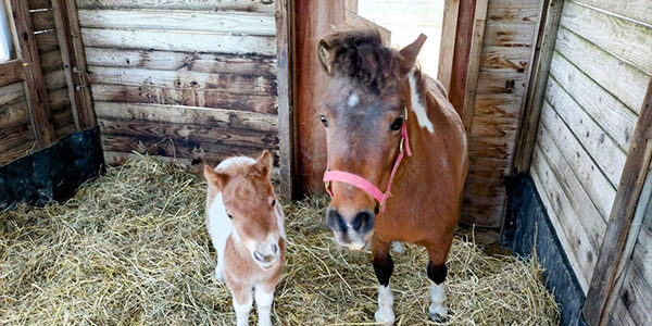 2025.06.16_kuchida_blog_19