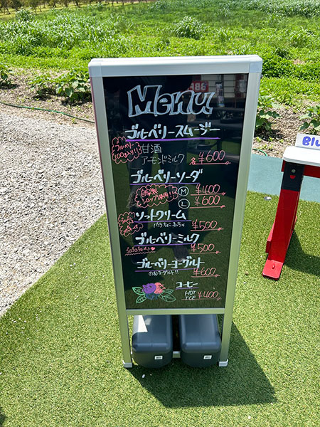 南知多町豊浜にある大粒のブルーベリーを時間無制限で食べ比べ『ブルーベリーファーム南知多』