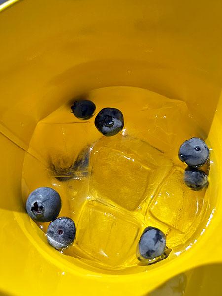 氷水容器